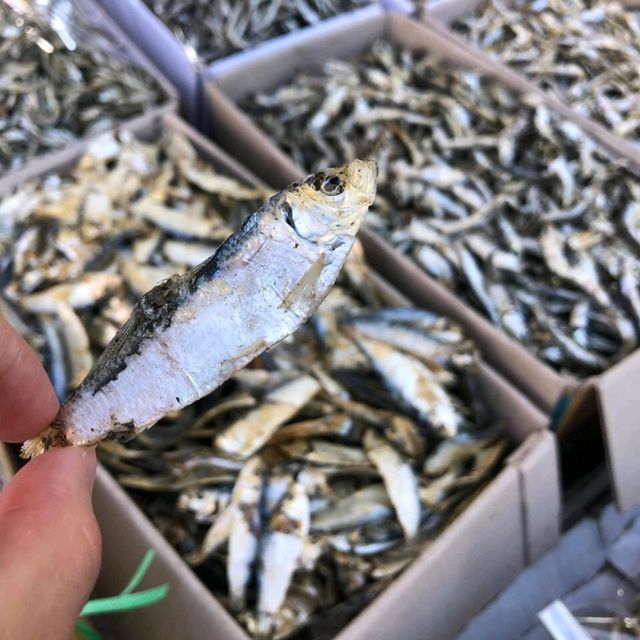 釜山 札嘎其市場吃海鮮🦞🦐🐙還有乾貨海味 