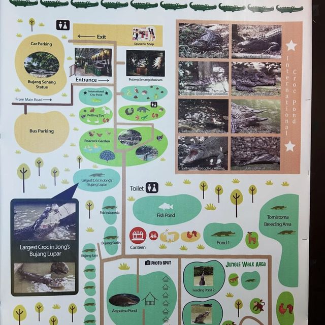 楊氏鱷魚場～挑戰刺激冒險！🐊🌴🔥