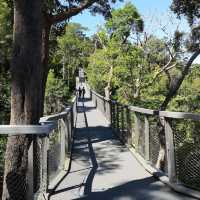 Langur Way Canopy Walk