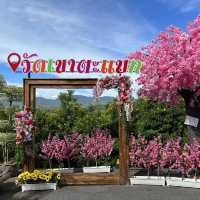 สกายวอล์ก วัดเขาตะแบก ขึ้นเขาไหว้พระถ่ายวิวสวยๆ