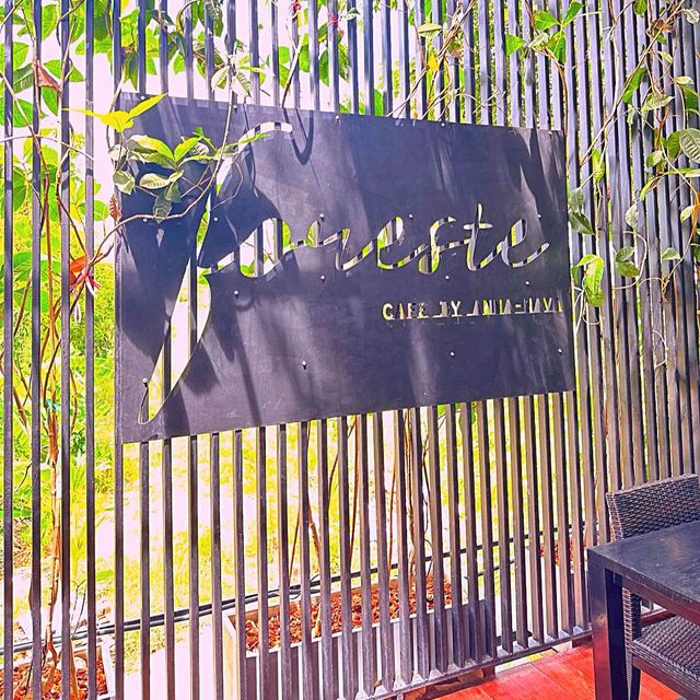 🎁คาเฟ่ฟิลป่าอะเมซอล