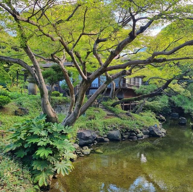 Koishikawa Korakuen Gardens