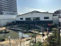日本大阪｜鬧市中的溫泉主題樂園