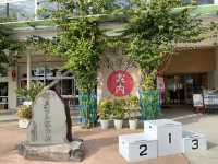 【千葉】廃校を使った道の駅【保田小学校】