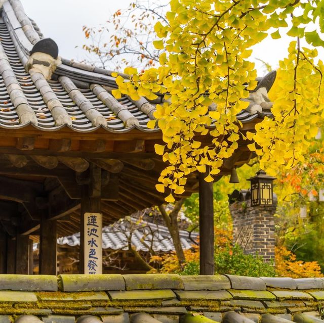 Beautiful Autumn View of Korean Folk Village 