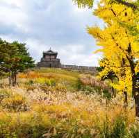 Beautiful Autumn Of Suwon Hwaseong Fortress 