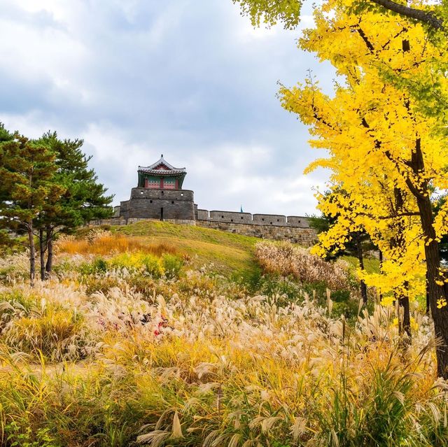 Beautiful Autumn Of Suwon Hwaseong Fortress 