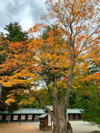 北海道　北海道観光　札幌の旅　北海道神宮の紅葉が見頃！