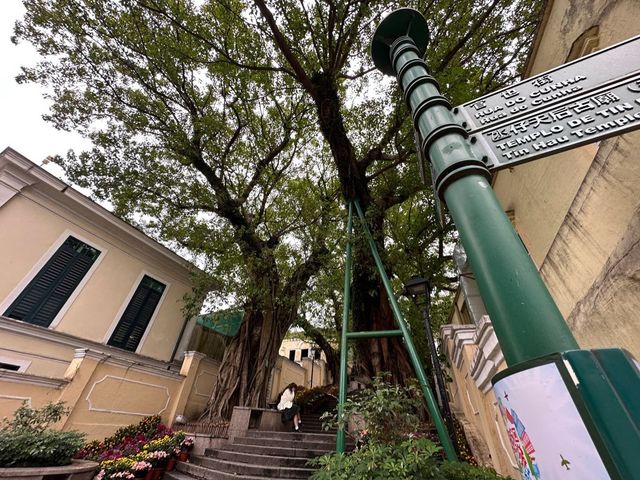 Shopping at Taipa Old Village 