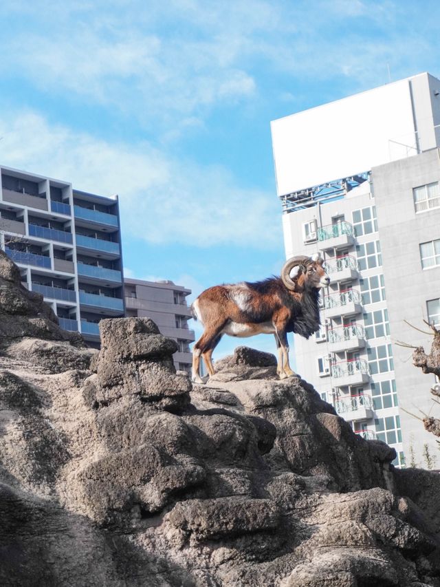 【建在市中心的古老動物園三大之一】