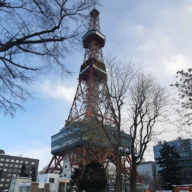雪之札幌電視塔與大通公園