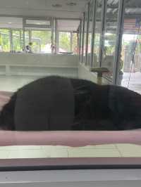 P.D. Ostrich Show Farm