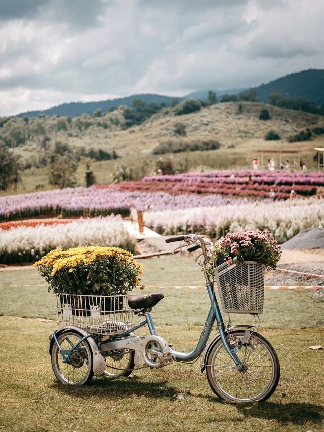 Floryday   