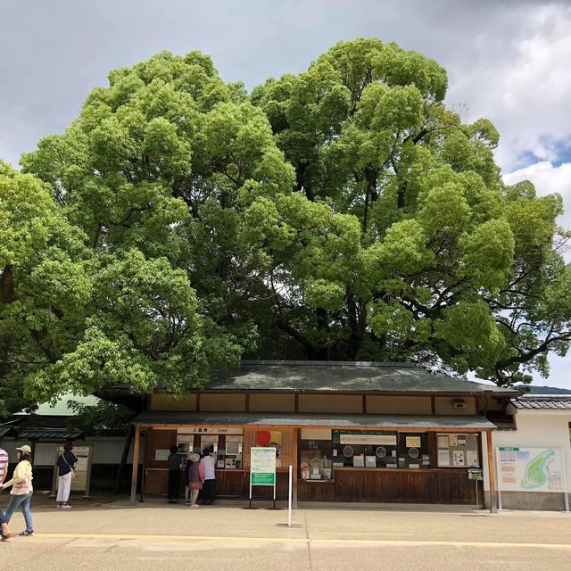 岡山仙境後樂園🫢城堡🏰後花園😍景色一流😌