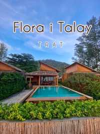  Flora I Talay  🌸🫶🏼