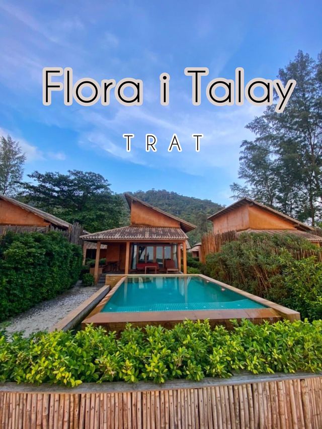  Flora I Talay  🌸🫶🏼