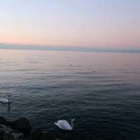 Évian-les-Bains - Unlimited Evian water for free