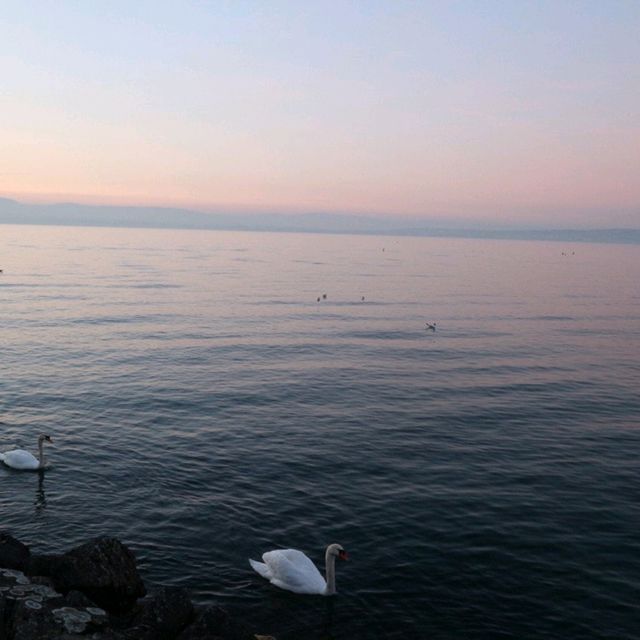 Évian-les-Bains - Unlimited Evian water for free