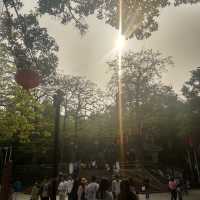 日夜都值一遊的惠州西湖🌳