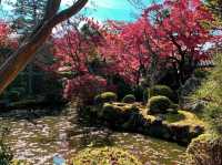 วัดคิโยะมิซุ 清水寺 หรือวัดน้ำใส 🍁⛩️