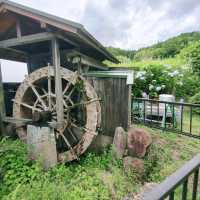 全て茨木産！手作りジェラード　見山の郷