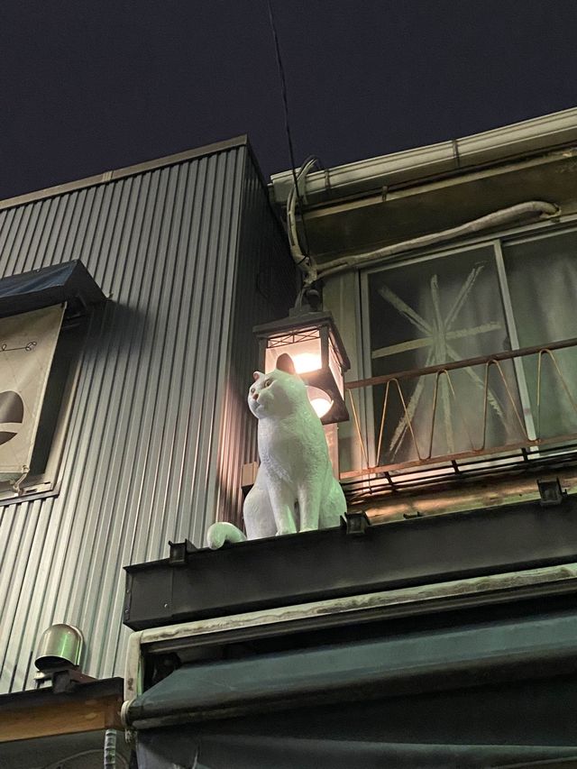 도쿄 고양이 마을 감성 가득한 야나카긴자🐱💛