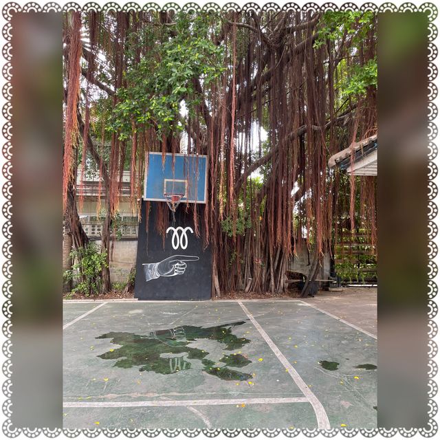 （泰國/曼谷）都市中的森林系🌳咖啡廳-The Kiln Studio