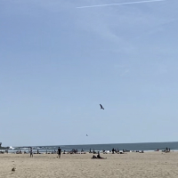 Praia de Matosinhos（Beach）🏖️