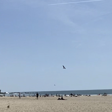 Praia de Matosinhos（Beach）🏖️