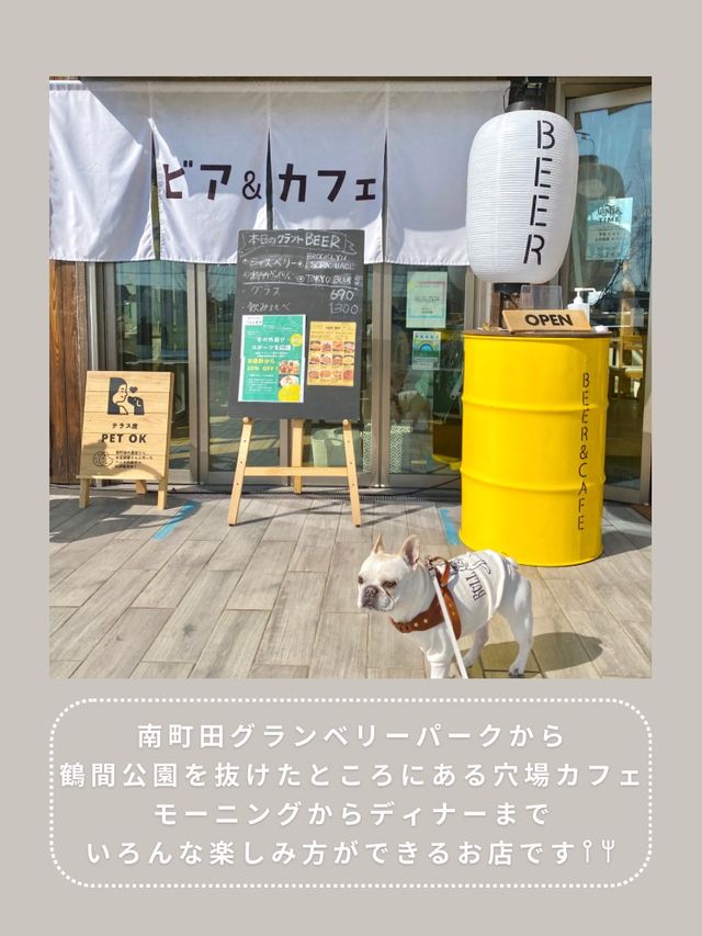【南町田】わんこと行ける穴場ランチ🍕