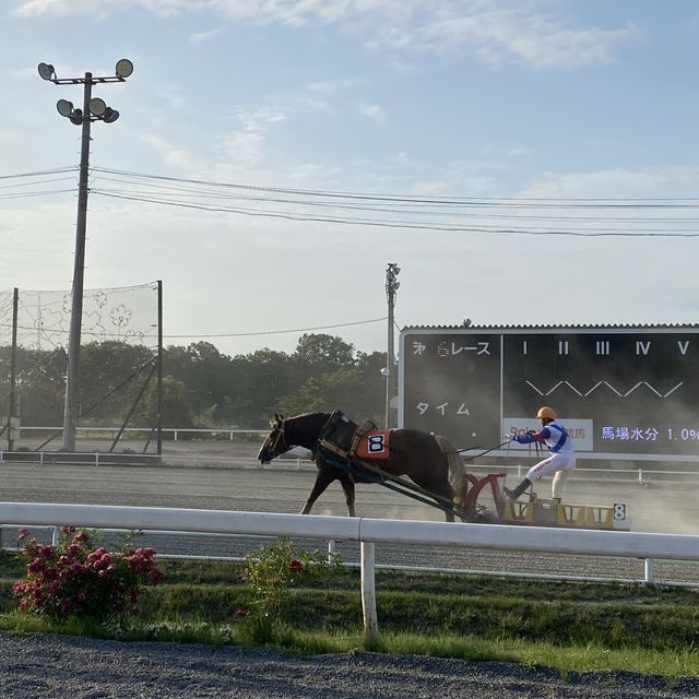 暢享北海道「帶廣競馬場」的樂趣盛典！