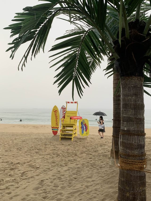 양양 양양하면 바로 가장 핫한 서피비치🌊🏄‍♀️ [양양_서피비치]