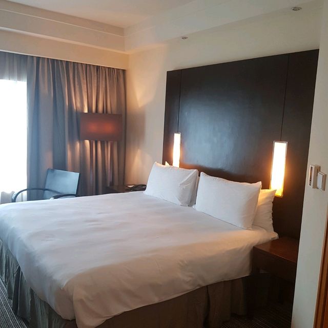 Unusual lounge experience - Amara Singapore