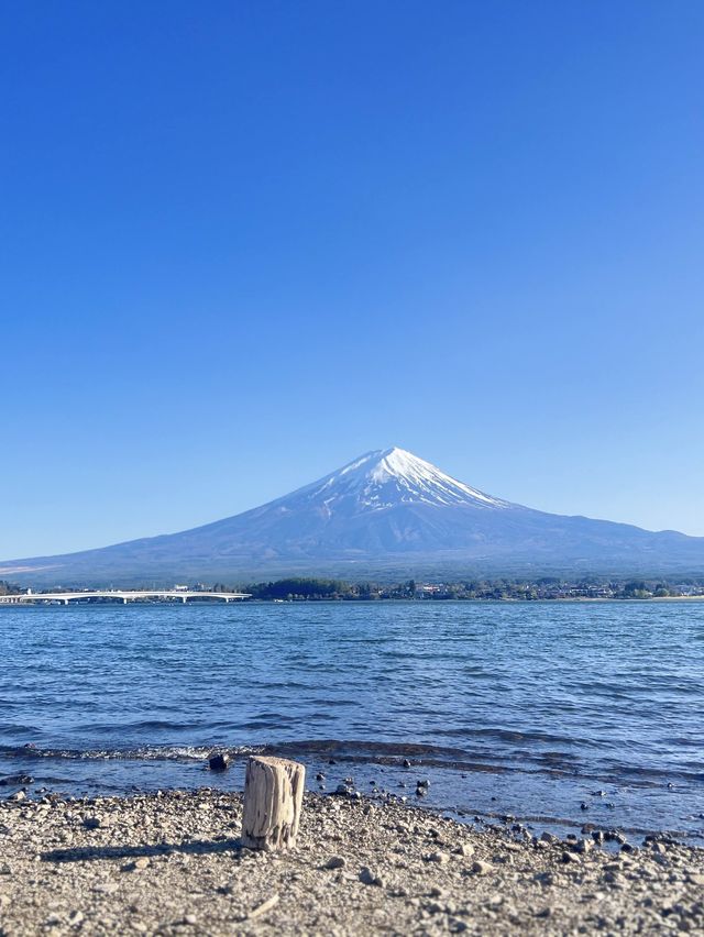 Kawaguchiko Lake🗻