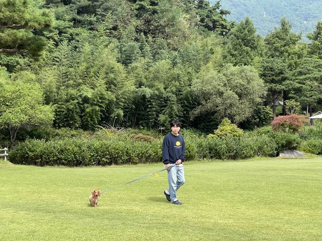남원 조경원 카페 아담원🌷