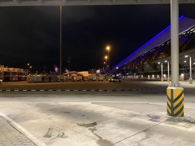 タイ　タイ観光　タイ航空でスワンナプーム国際空港から新千歳空港へ深夜フライトが快適だった！