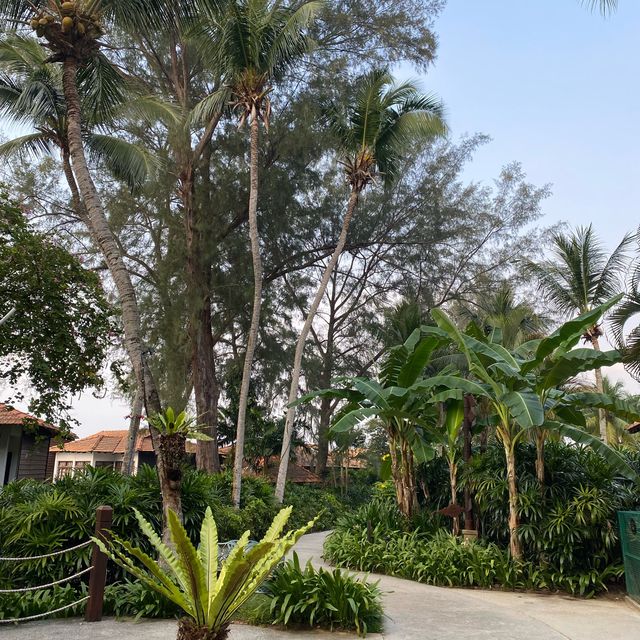 Avillion Port Dickson – A Stunning Water Chalet Escape Near KL!