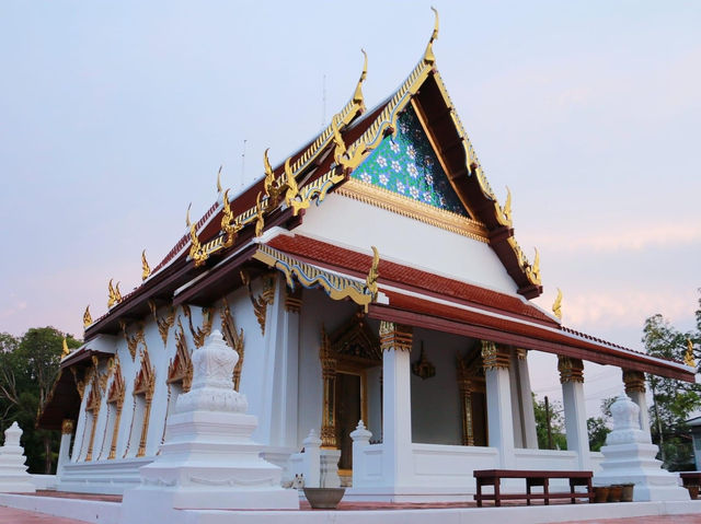 พาเที่ยววัดอัมพวัน ตลาดอัมพวา จ.สมุทรสงคราม