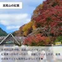 【11中旬〜12上旬が見ごろ！🍁秋の高尾山で紅葉ハイキング】