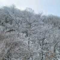 친구들과 무주스키장 여행