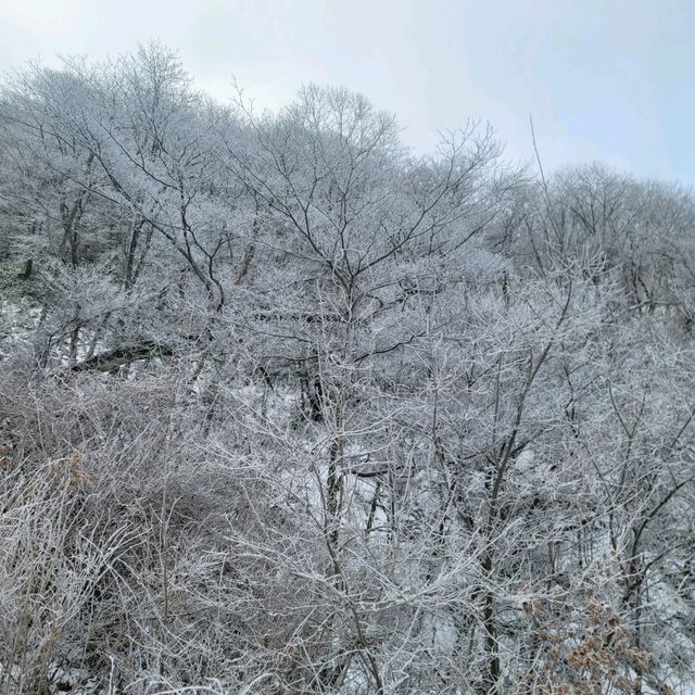 친구들과 무주스키장 여행