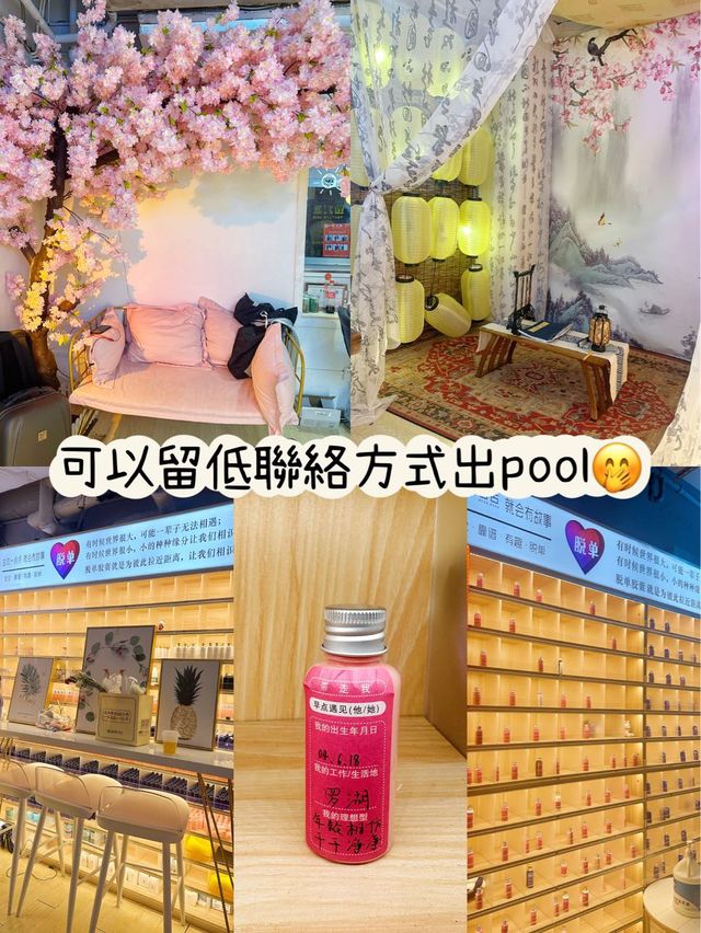 ⭐️貓貓Cafe竟然有豬仲有狗？🐱🐷🐶