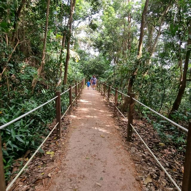 🇸🇬SG’s 1st net positive energy nature park 