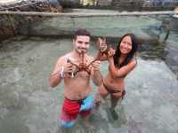Baby Shark and Starfish point Karimunjava 