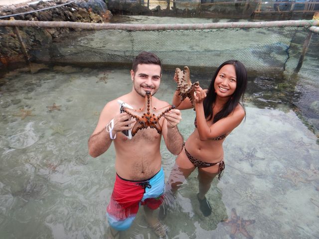 Baby Shark and Starfish point Karimunjava 