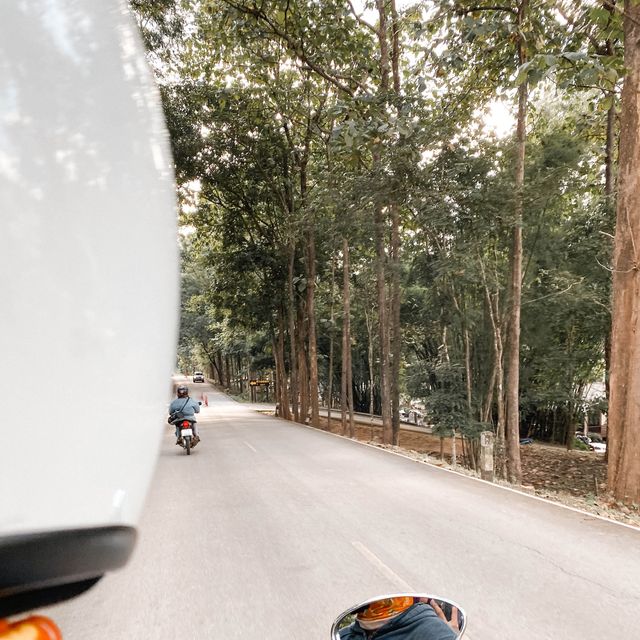 อุทยานแห่งชาติคลองวังเจ้า ⛰️🏕️