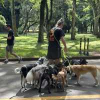 Relaxing green and family park in Sao Paolo!