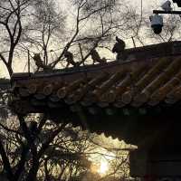 瀋陽清昭陵 世界文化遺產 現在變成北陵公園