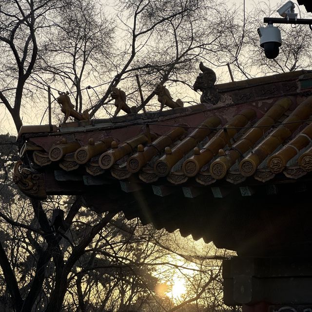 瀋陽清昭陵 世界文化遺產 現在變成北陵公園