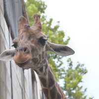 B級遊園地・動物園!?「宇都宮動物園」